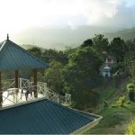 Tea Estates Walking Tour In Munnar (1D)